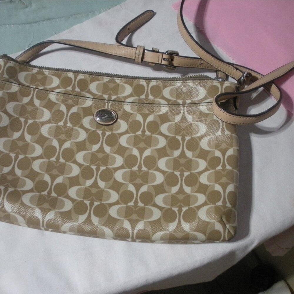 Coach Peyton Dream Eastwest Swingpack Crossbody